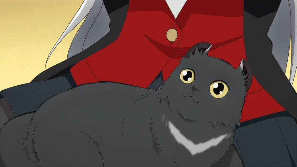 Episode 9