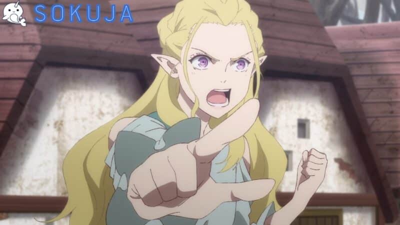 Saihate no Paladin Tetsusabi no Yama no Ou Episode 8