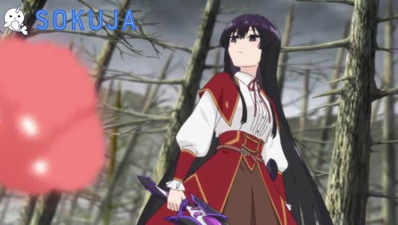 Akuyaku Reijou Level 99: Watashi wa Ura-Boss desu ga Maou dewa Arimasen Episode 12