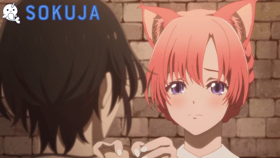 Episode 7