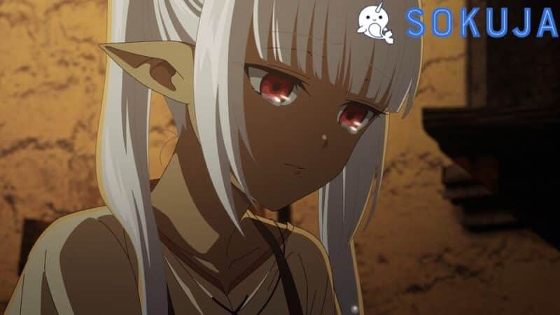Hazurewaku no Joutai Ijou Skill de Saikyou ni Natta Ore ga Subete wo Juurin suru made Episode 8