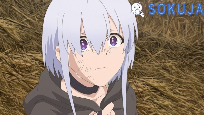 Ore wa Subete wo Parry suru: Gyaku Kanchigai no Sekai Saikyou wa Boukensha ni Naritai Episode 6